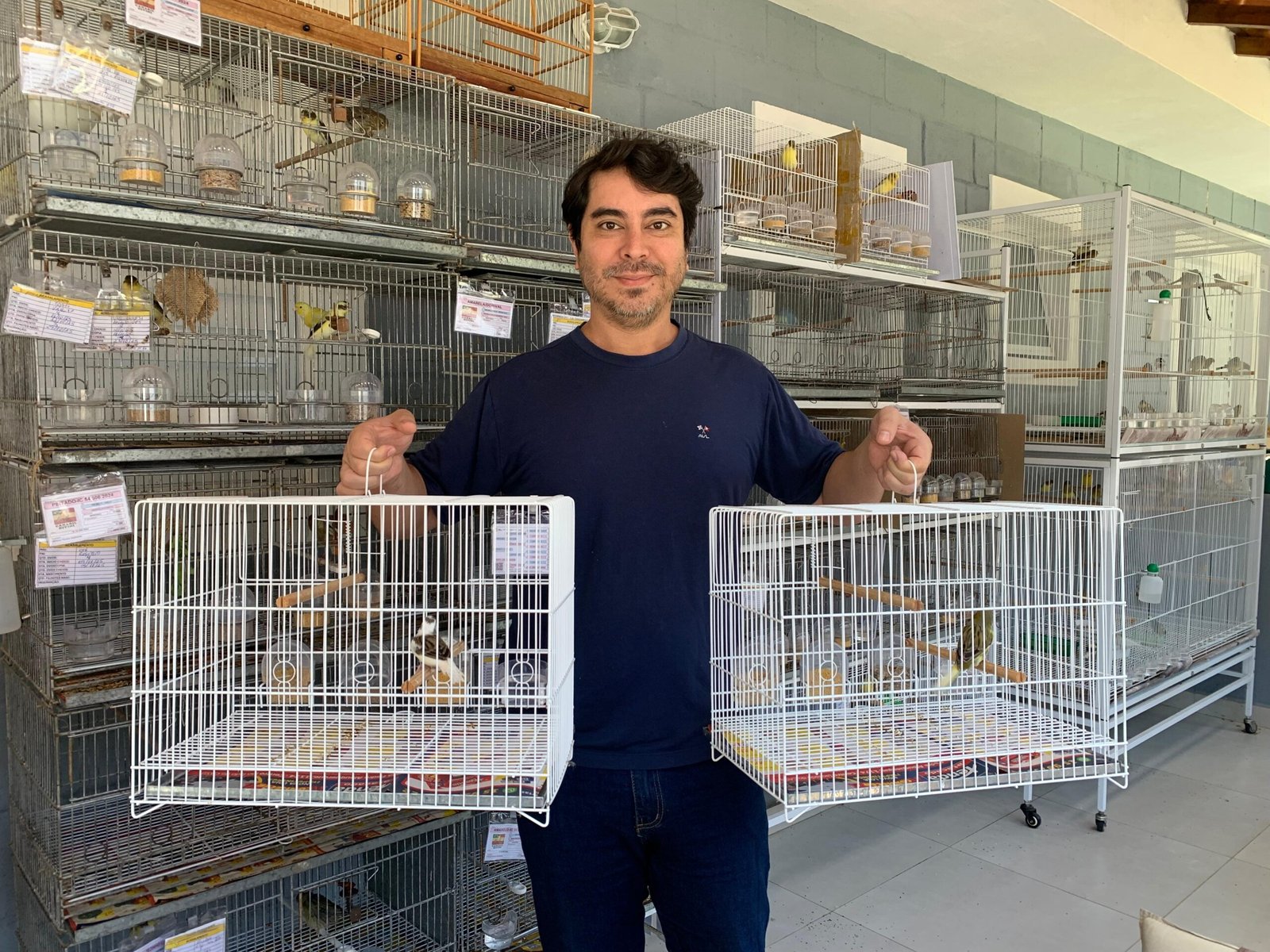 Canários de Canto: tradição, técnica e paixão pelo som perfeito