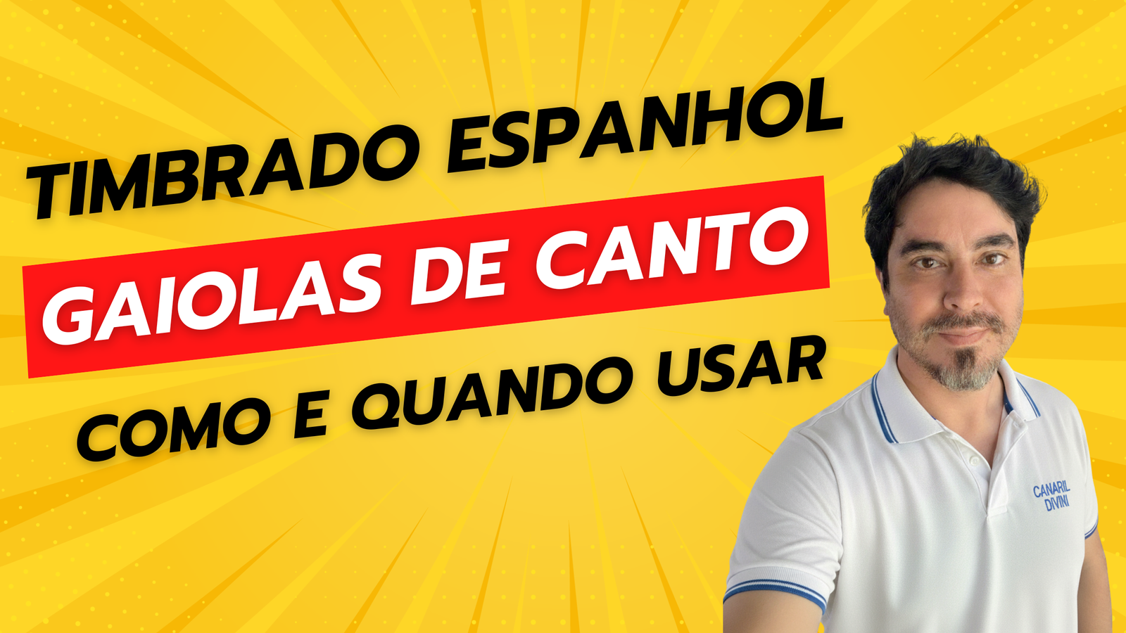 Como e quanto utilizar gaiolas de canto para canários